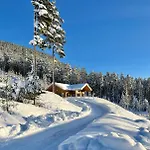 Furuheim Lodge, 4 Seizoenen Met Fantastisch Uitzicht Vradal