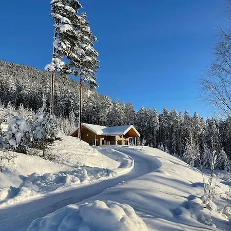 Furuheim Lodge, 4 Seizoenen Met Fantastisch Uitzicht Holiday home Vradal