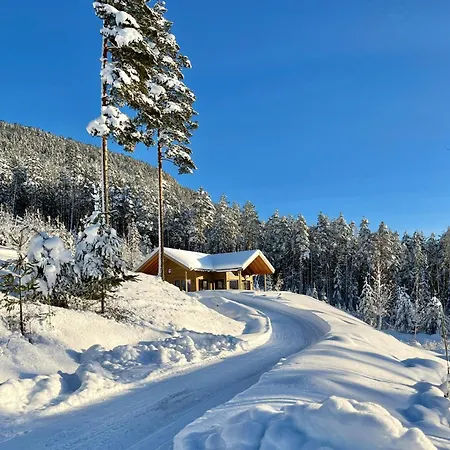 Furuheim Lodge, 4 Seizoenen Met Fantastisch Uitzicht ヴラダル